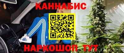 мдпв Новокубанск