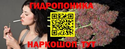 амф Новодвинск