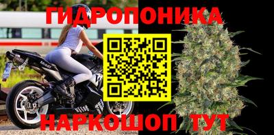 амф Новодвинск